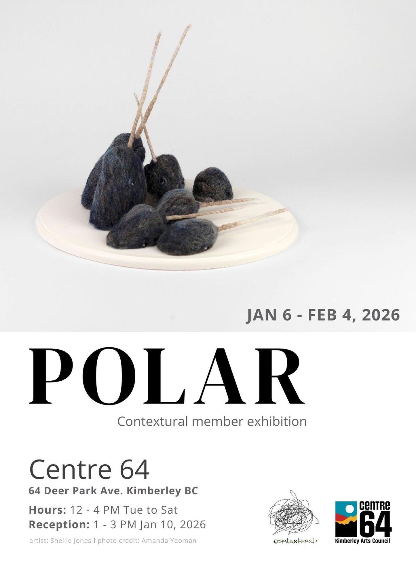 POLAR - Gallery Exhibition