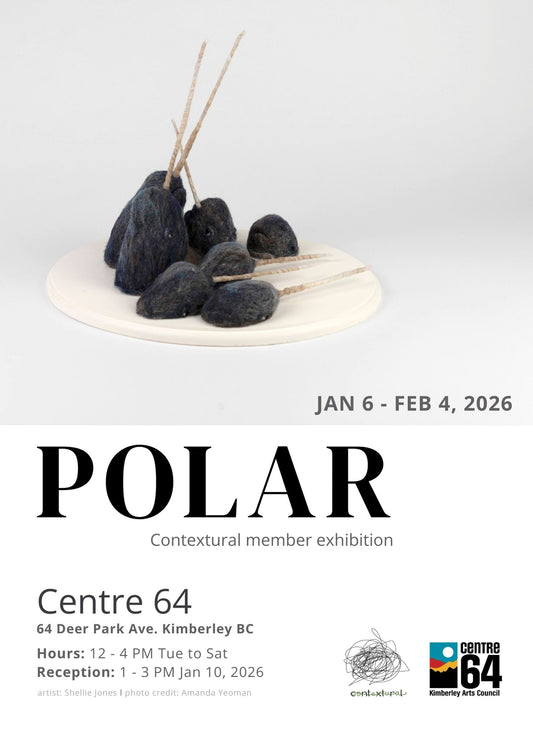 POLAR - Gallery Exhibition